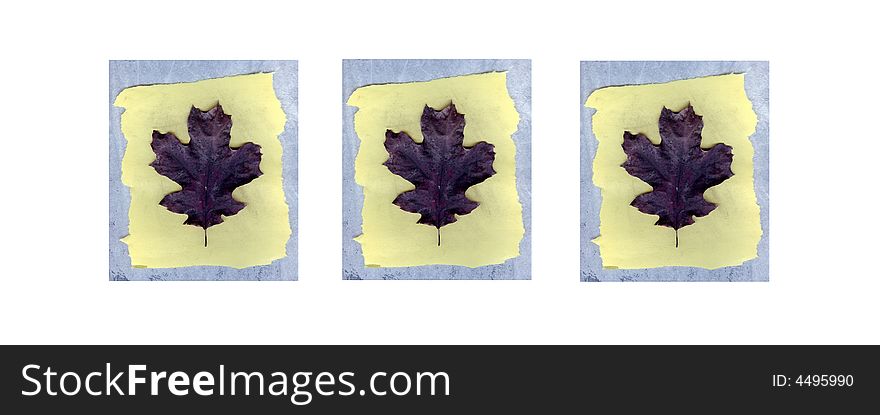 Autumn leaves on charcoal background