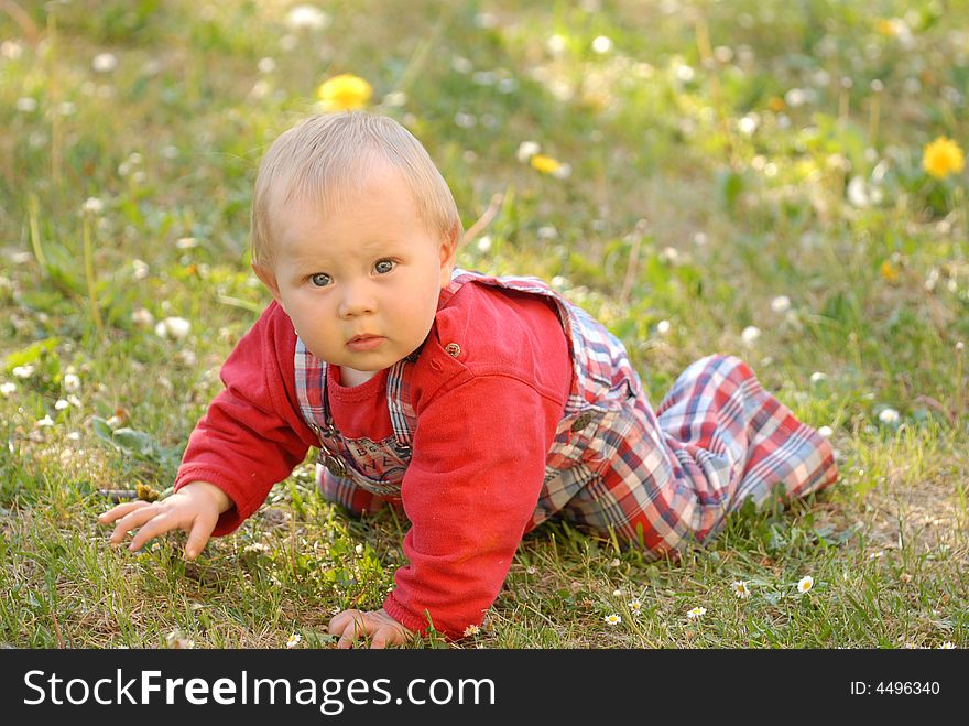 A child on the grass