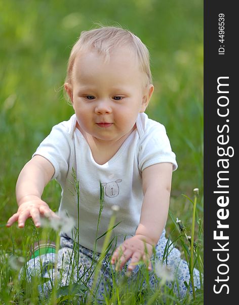 Child sitting on a meadow