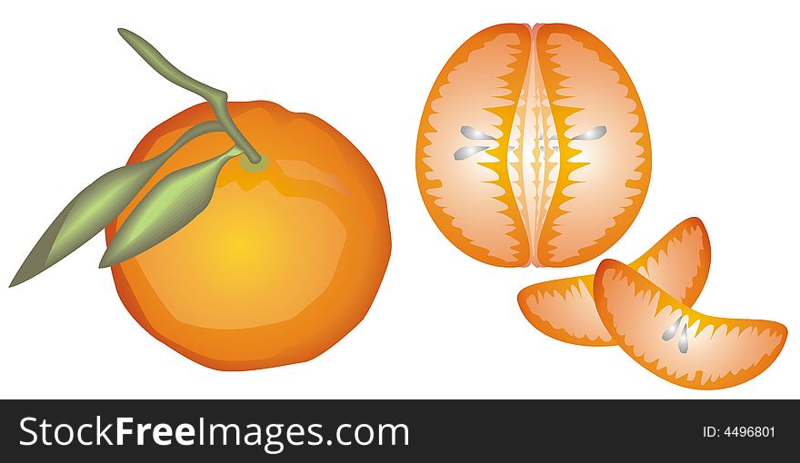 Art illustration of some tangerines
