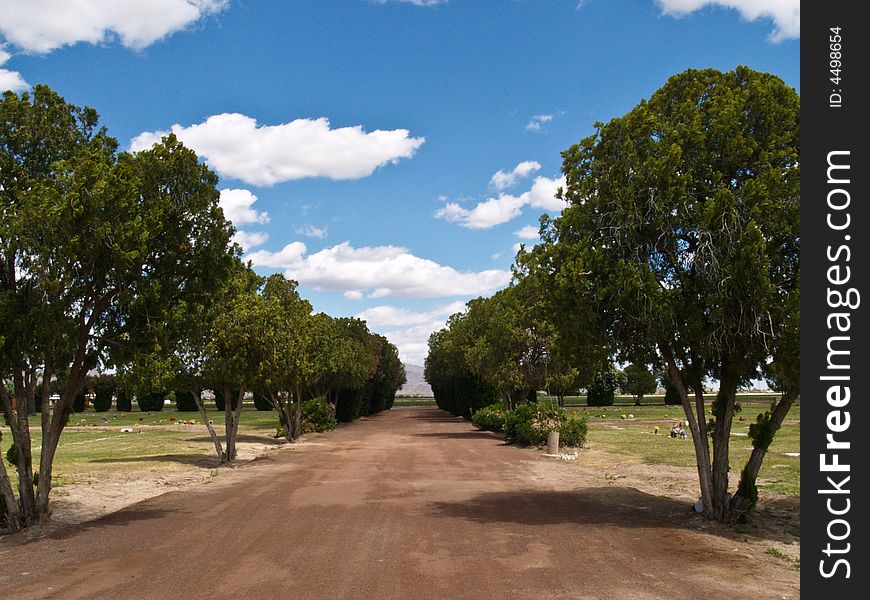 Dirt road leading off into the horizon. Framed on each side by trees and set against a blue sky