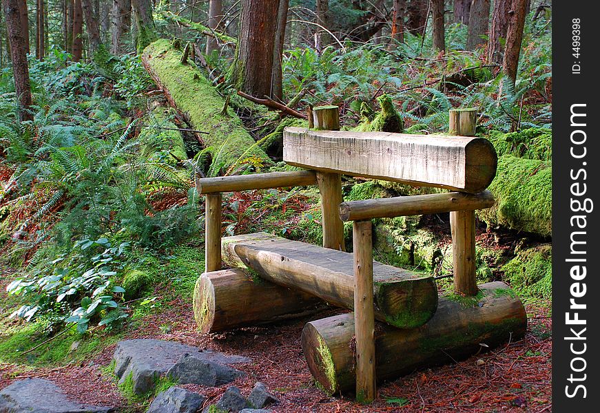 Rustic log bench in the woods