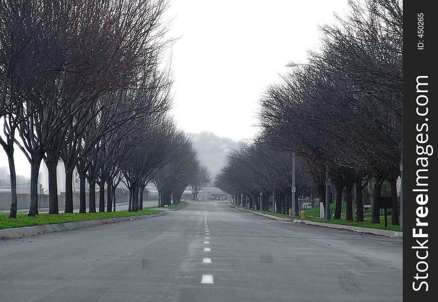 Grey road with green grass on the sides