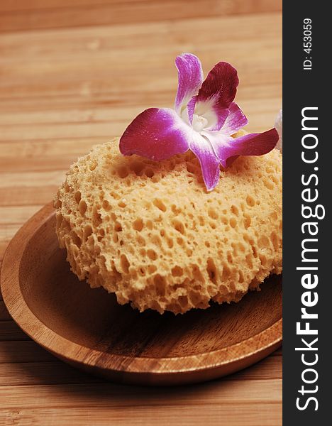 Sea Sponge And Orchid