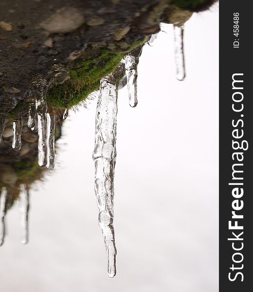 Icicles and moss