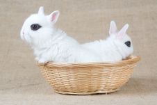 Two White Bunny In The Basket Stock Photo