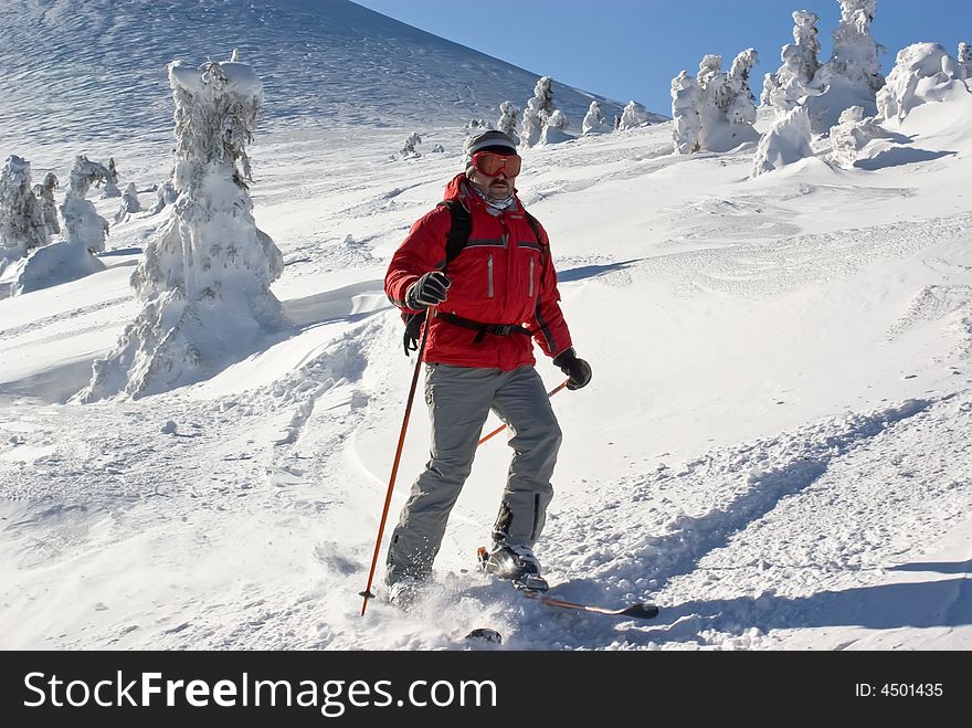 Skier moving through icy forest on winter resort