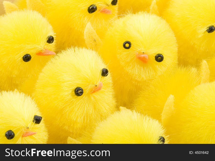 A large group of newborn yellow easter chickens