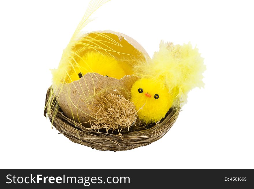 A nest with newborn yellow easter chickens