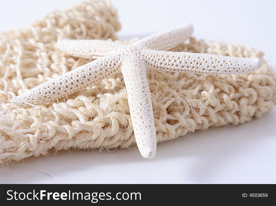 Scrubbing Glove With Starfish