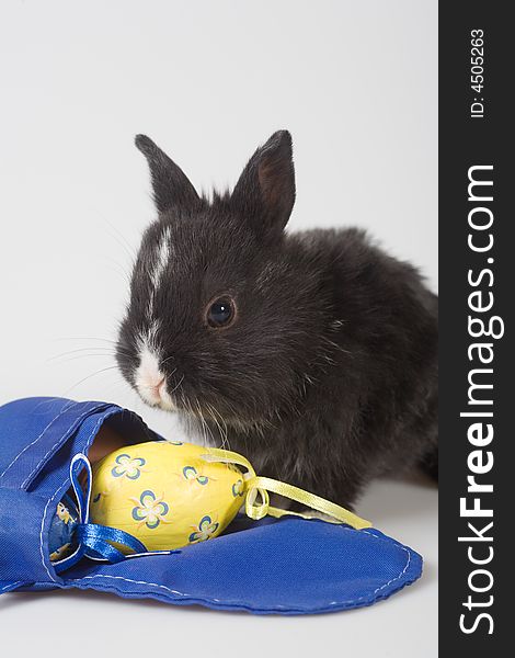 Black bunny with backpack and a yellow easter egg