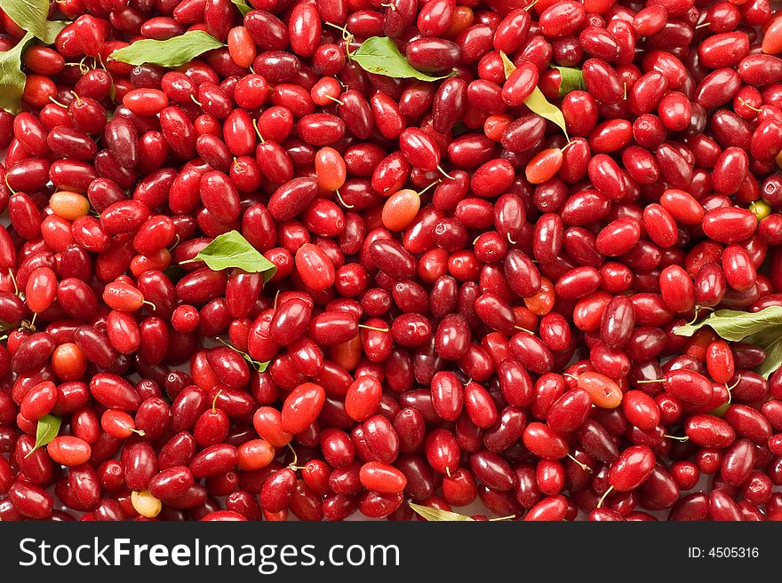 Background of fresh ripe cornelian cherries