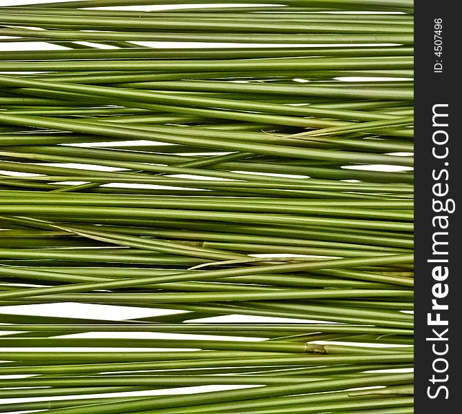 Horizontal green grass straws background