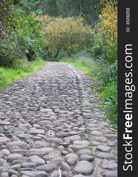 Old stones road through lush forest