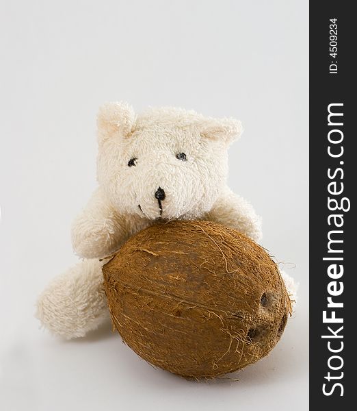 Teddy Bear With Coconut