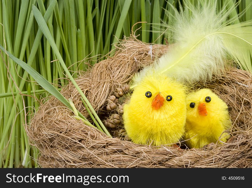 Two yellow little chickens in a nest against a fresh green grass. Two yellow little chickens in a nest against a fresh green grass