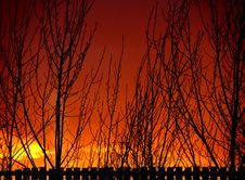 Sunset Fence And Tree Silhouettes Royalty Free Stock Photography Sunset Fence And Tree Silhouettes Royalty Free Stock Photography