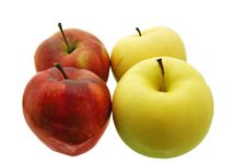 Apples Stock Photos Apples Stock Photos