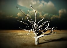 Barren Wilderness 11 Royalty Free Stock Photography Barren Wilderness 11 Royalty Free Stock Photography