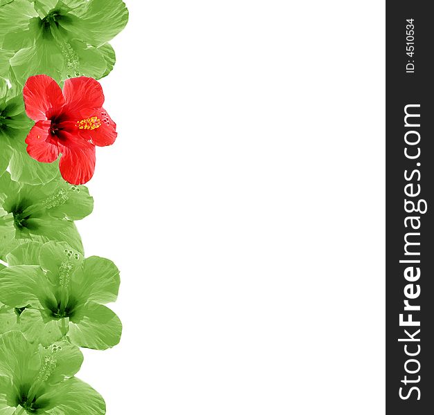 Beautiful floral background, frame wiht place for your text