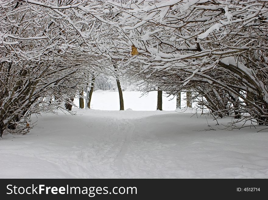 Winter park after a snowstorm. Winter park after a snowstorm.