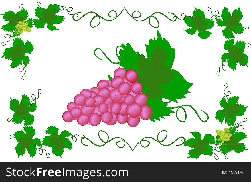 Illustration. Beauty Red Grapes. Decoration  ornate