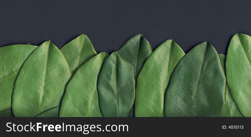 A background border made by non natural green leaves made of an unknown material. A background border made by non natural green leaves made of an unknown material