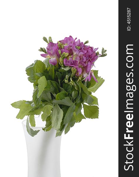 Different color  spring flower in vase. Different color  spring flower in vase