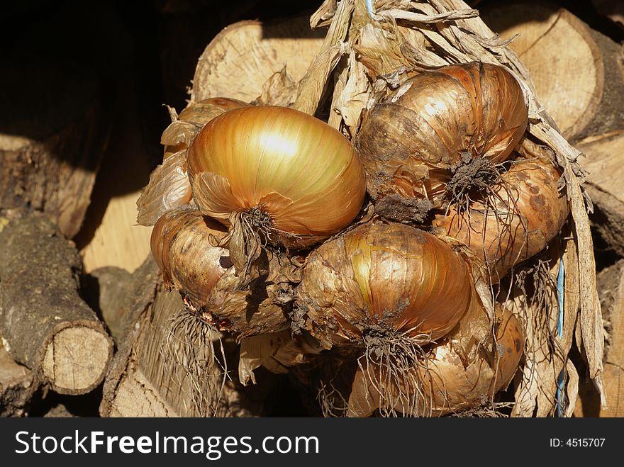 Bunch of onions hanging to dry. Bunch of onions hanging to dry.