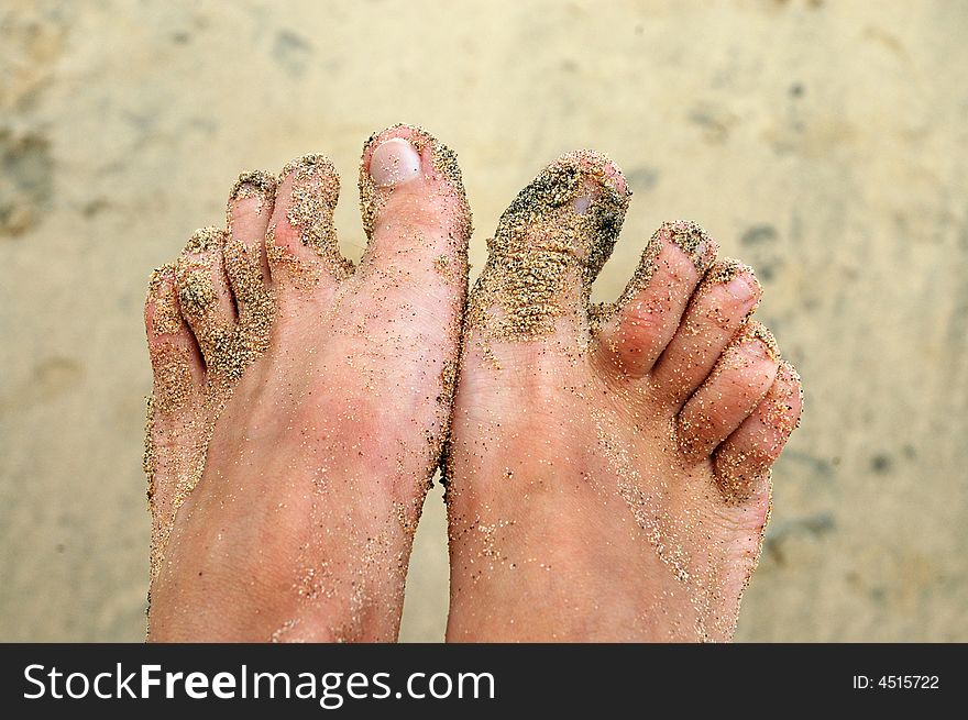 Female feet covered in sand. Female feet covered in sand