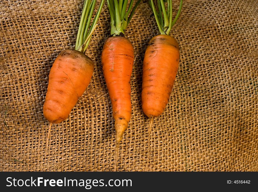 Vegetable theme: three carrots on the sacking