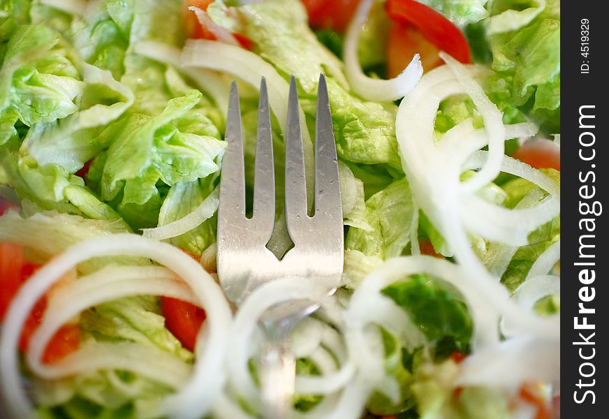 Close up images of a Green fresh healthy salad