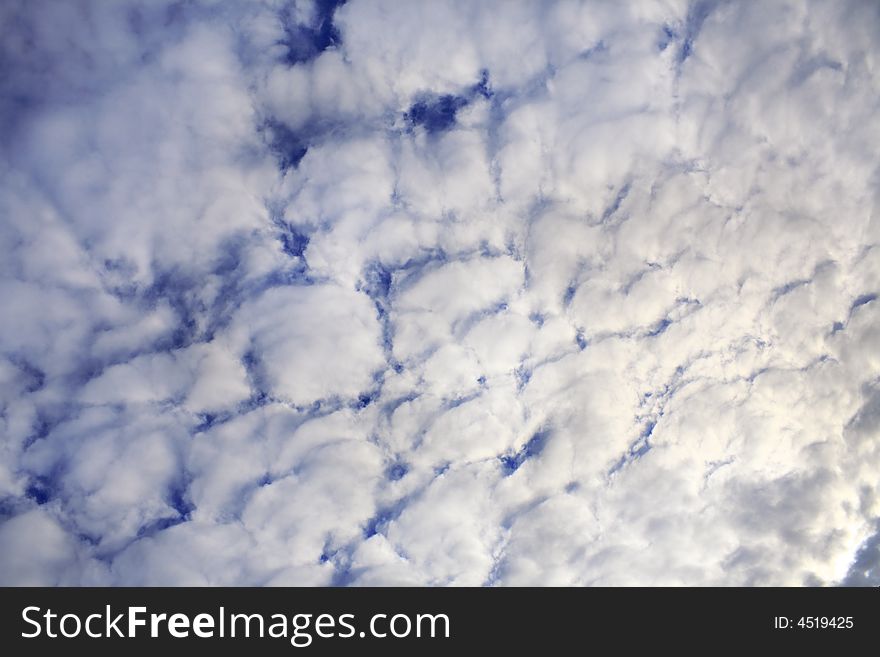 Sky shot full of cotton like shaped clouds. Sky shot full of cotton like shaped clouds