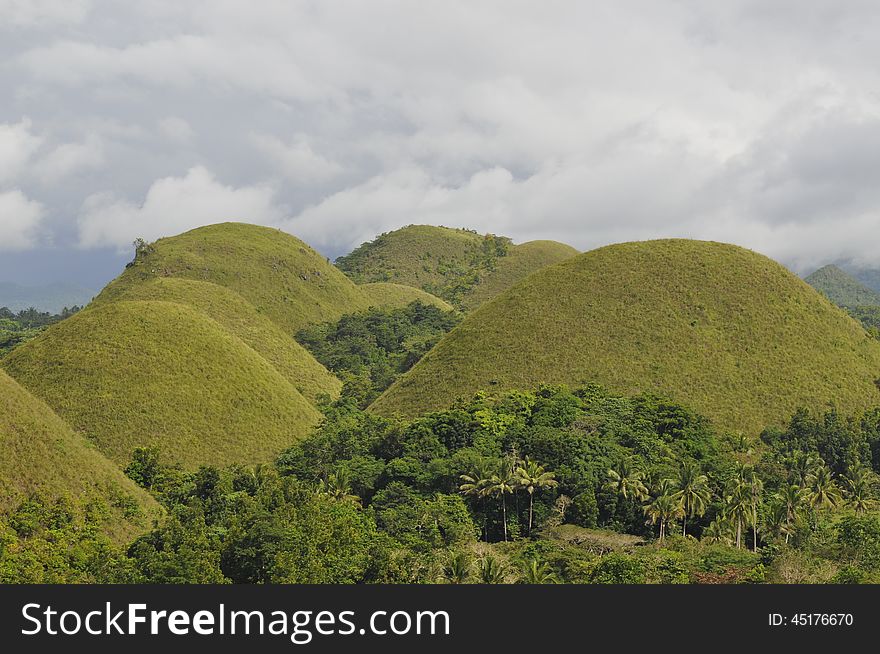 Chocolate Hills, Bohol Island, Philippines. Chocolate Hills, Bohol Island, Philippines.