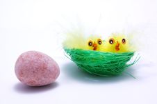 Easter Chicks Stock Photography