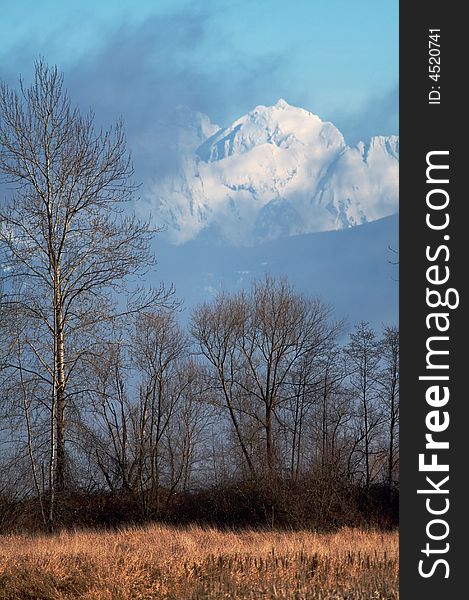 The Cascade Mountains in winter as seen from the Bob Heirman Wildlife Preserve in Snohomish, WA. The Cascade Mountains in winter as seen from the Bob Heirman Wildlife Preserve in Snohomish, WA.