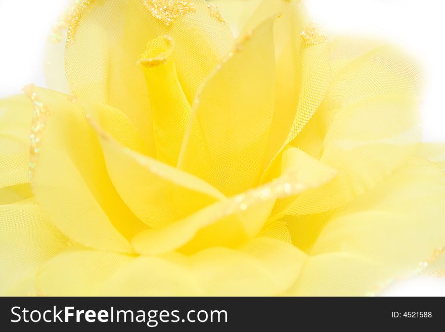Yellow flower on isolated background
