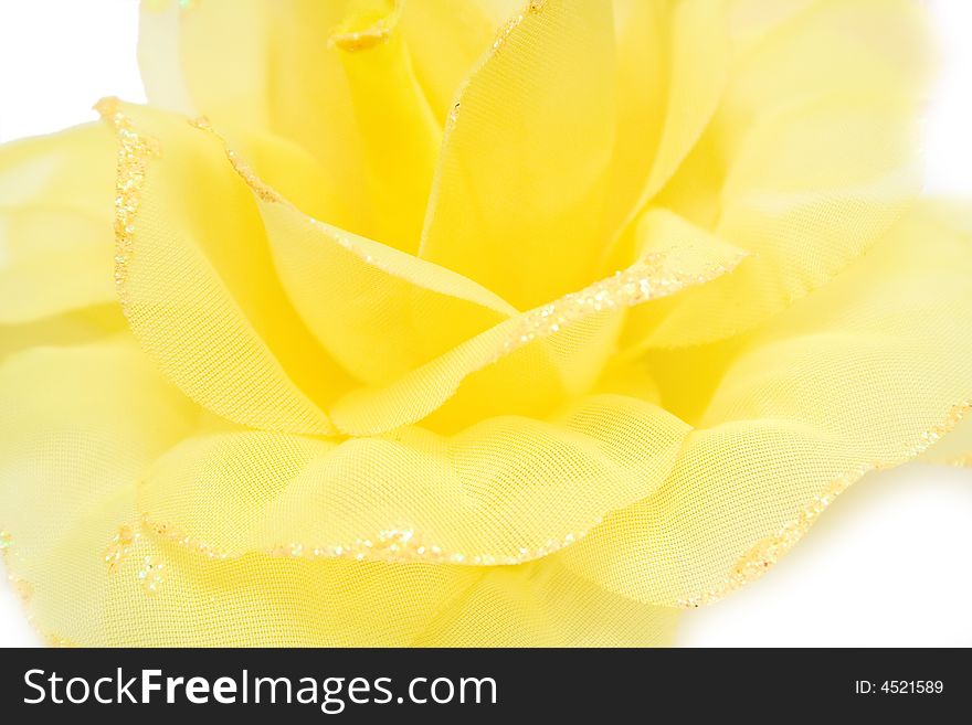 Yellow flower on isolated background