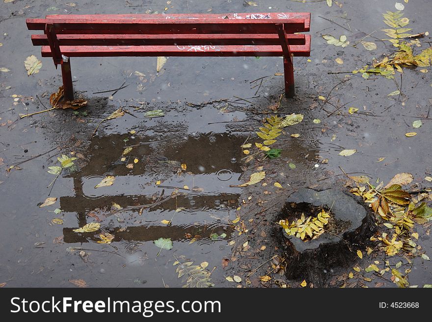 Autumnal bench in the rain. Autumnal bench in the rain.