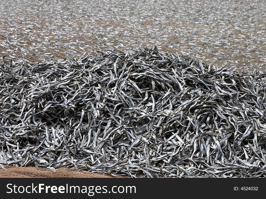 Fish drying on the net in La Graciosa island, Canary Islands, Spain