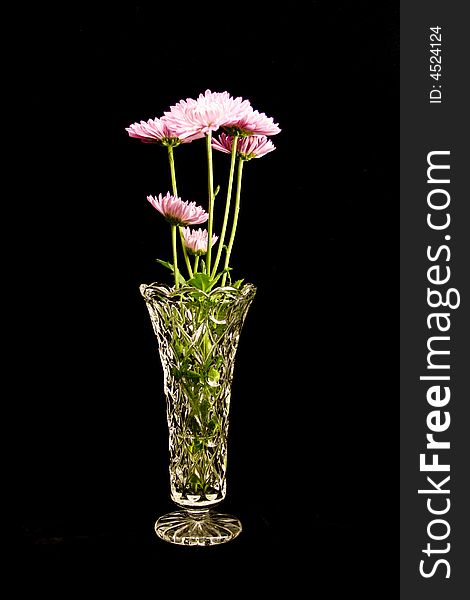 Pink flowers in crystal vase against a black velvet background.