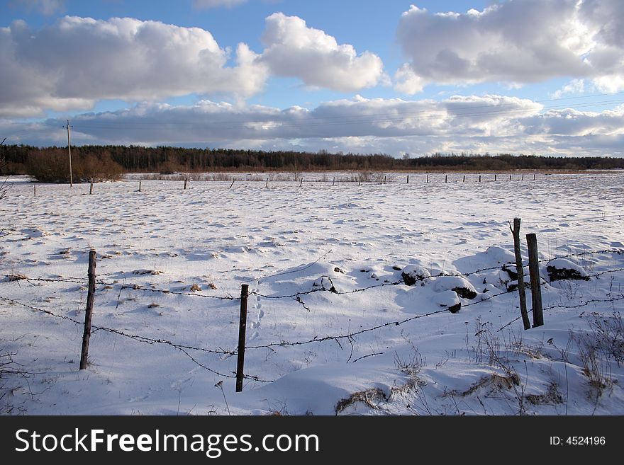 Trees and fields along rural road in the winter. Trees and fields along rural road in the winter