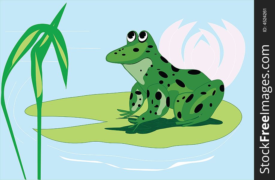 Little green frog in water. Little green frog in water