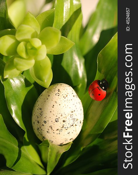 Easter decorations: ladybird and egg