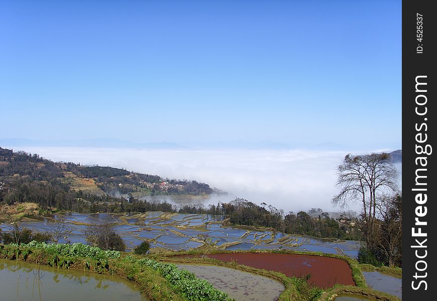 This is yuanyan Paddy Field in yunan yuanyan  of china. It  is a beautiful magical place.>. This is yuanyan Paddy Field in yunan yuanyan  of china. It  is a beautiful magical place.>