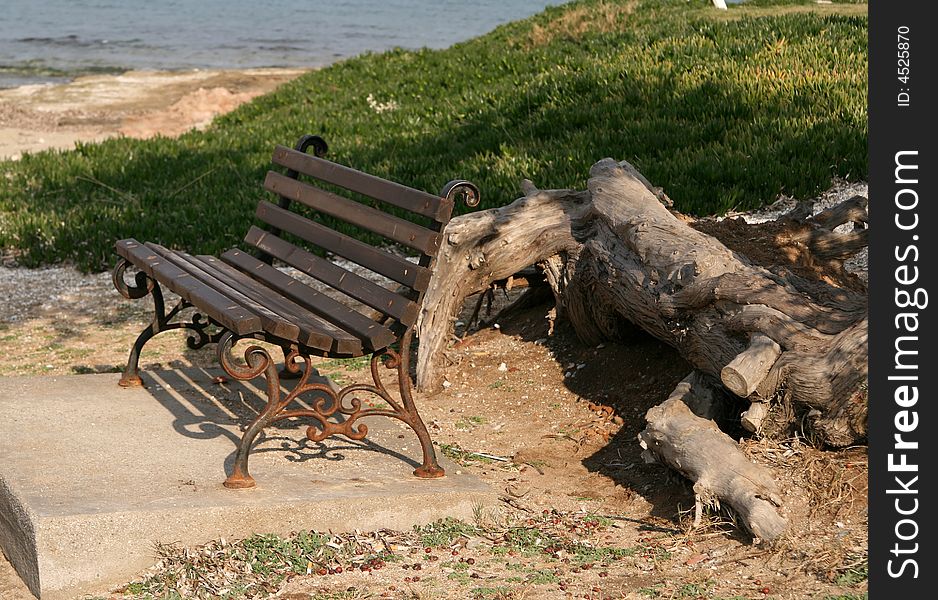 A wooden old bench at the beach beside a tree. A wooden old bench at the beach beside a tree