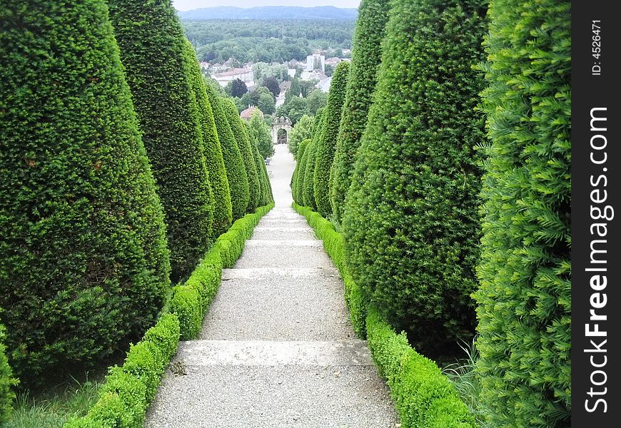 The garden, stairs with trees around. The garden, stairs with trees around