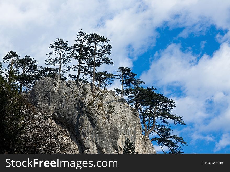 A distance rock cliff with the pine trees under the cloudy sky. A distance rock cliff with the pine trees under the cloudy sky