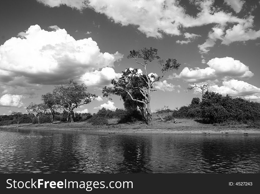 A stark black and white river scene with striking white clouds. A stark black and white river scene with striking white clouds