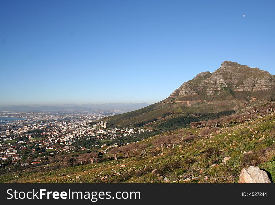 View of Devils Peak and Cape Town city bowl